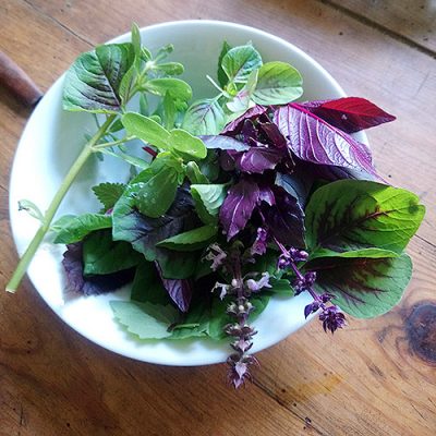 IMG_20190821_102108_570